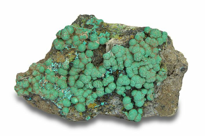 Deep Teal Botryoidal Chrysocolla - Planet Mine, Arizona #283880